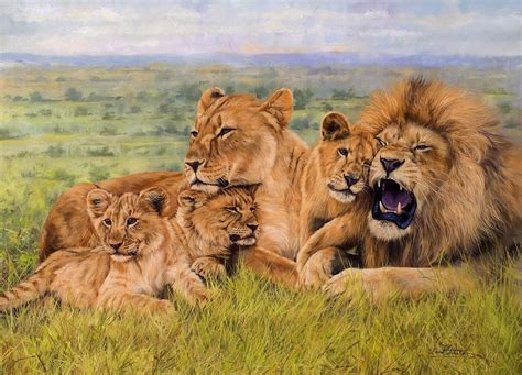 Born In Africa: Survivor School. . Lions pride 247